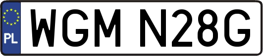 WGMN28G