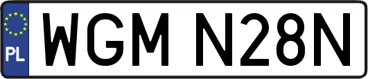 WGMN28N