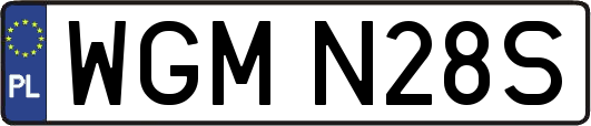 WGMN28S