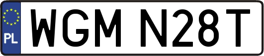 WGMN28T