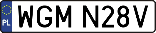 WGMN28V