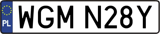 WGMN28Y