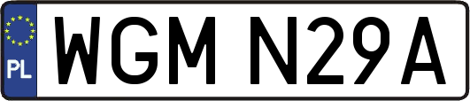 WGMN29A