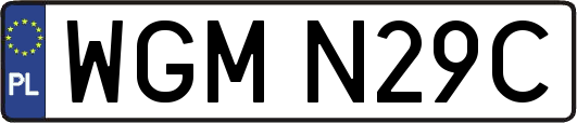 WGMN29C