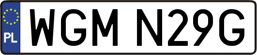 WGMN29G