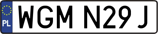 WGMN29J