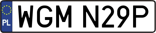 WGMN29P
