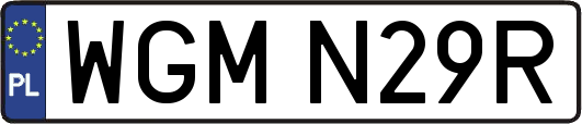 WGMN29R