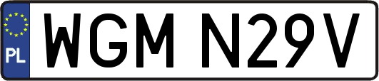 WGMN29V