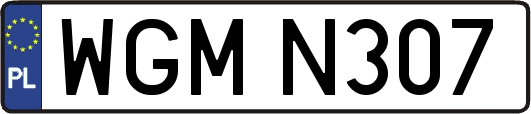 WGMN307