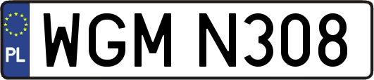 WGMN308