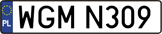 WGMN309