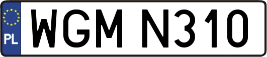 WGMN310