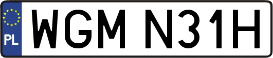 WGMN31H