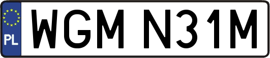 WGMN31M