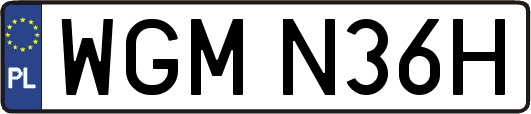 WGMN36H