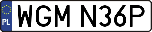 WGMN36P