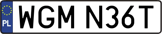 WGMN36T