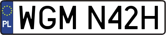WGMN42H