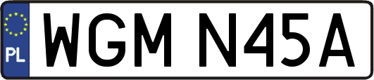 WGMN45A