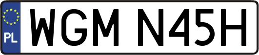 WGMN45H