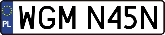 WGMN45N