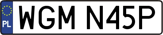 WGMN45P