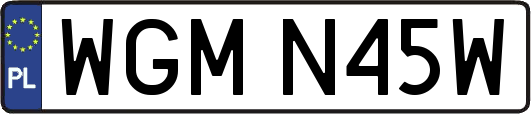 WGMN45W