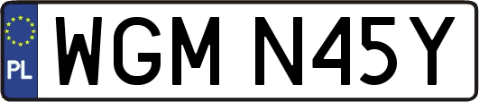 WGMN45Y
