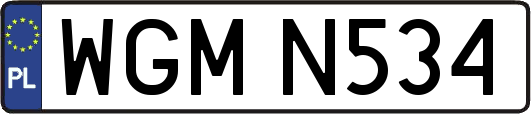 WGMN534