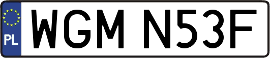 WGMN53F
