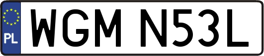 WGMN53L