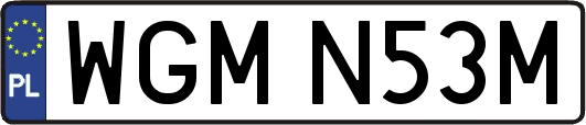 WGMN53M