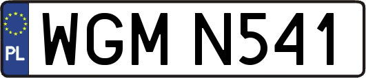 WGMN541