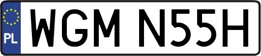 WGMN55H