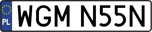 WGMN55N