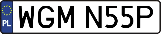 WGMN55P