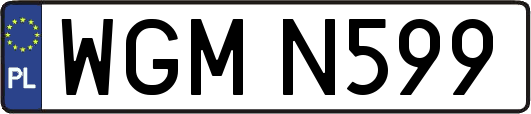 WGMN599