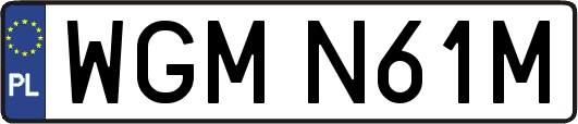 WGMN61M