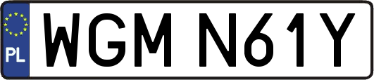 WGMN61Y