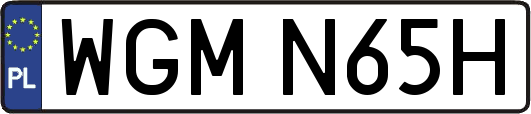 WGMN65H