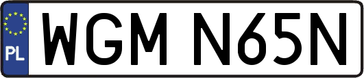 WGMN65N