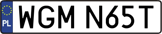 WGMN65T