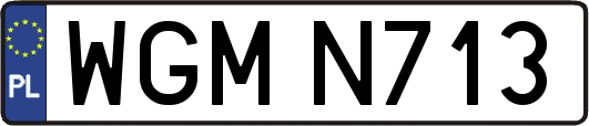 WGMN713