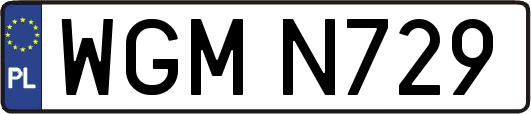 WGMN729