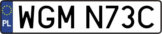 WGMN73C