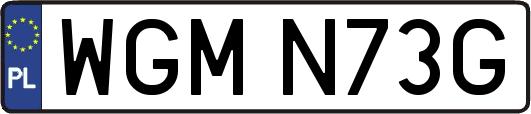 WGMN73G