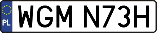 WGMN73H