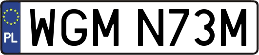 WGMN73M