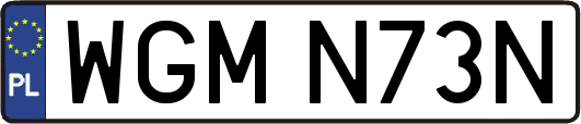 WGMN73N